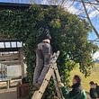 Horticulteurs en action au CFPS Les Peupliers à Oberried