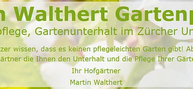 Walthert Martin Gartenpflege