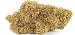 Purple GG | CBD -CBDA < 19%