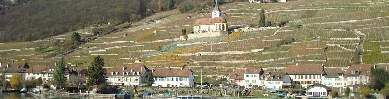 Klötzli - Weingut zum Twannbach