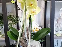 Fleur-antic Blumengeschäft - Klicken Sie, um das Bild 7 in einer Lightbox vergrössert darzustellen