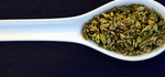 Oregano