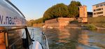 Motorbootfahrschule auf dem Rhein