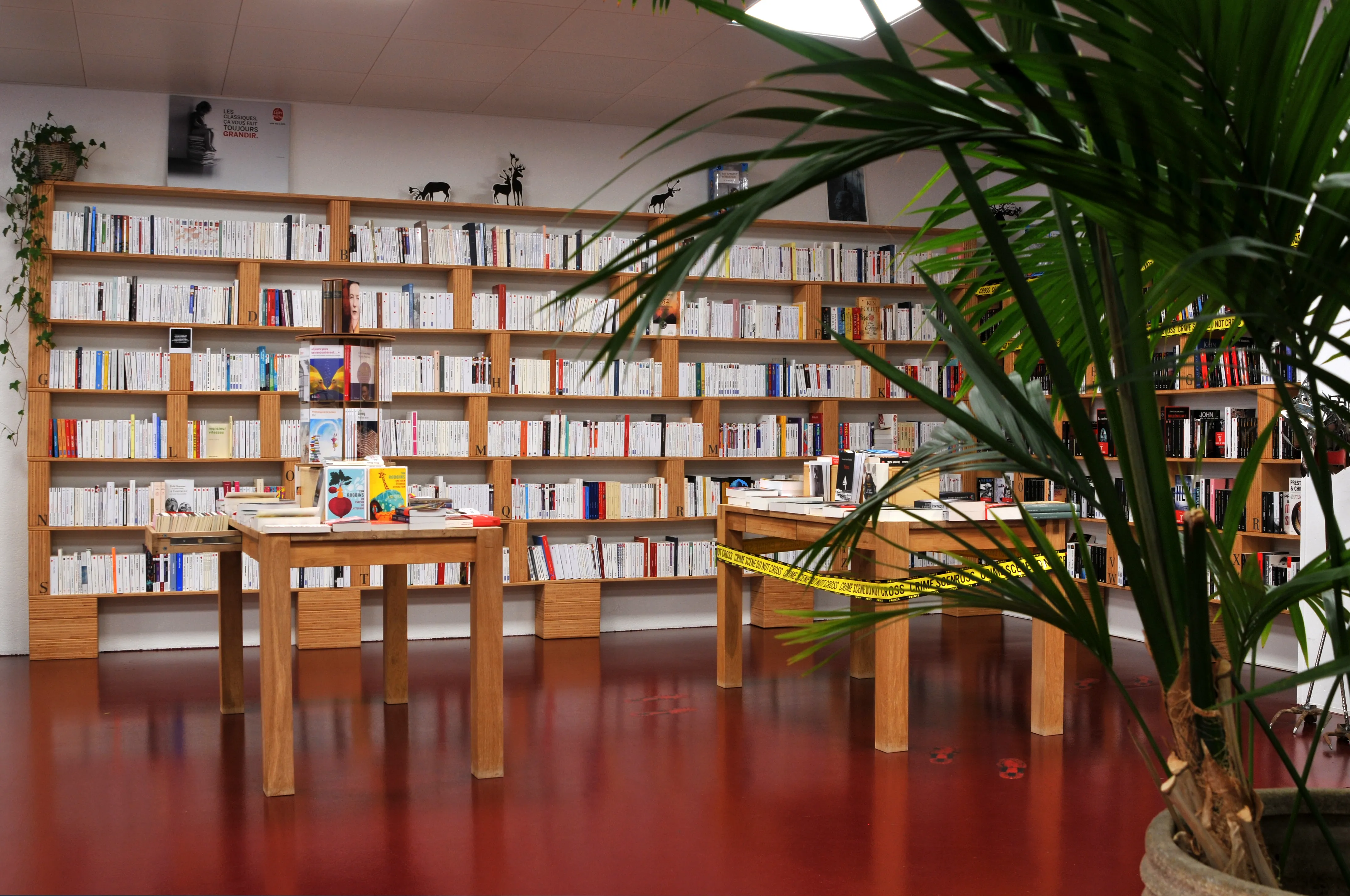 Librairie Baobab