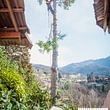 Ditta giardinaggio Lugano potature piante abbattimento alberi