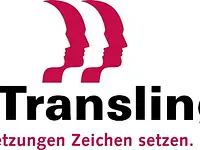 Translingua AG – click to enlarge the image 1 in a lightbox