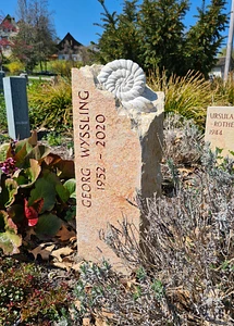 Grabstein aus Liesberger-Kalkstein mit Ammonit