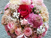 Les fleurs de sakura - Klicken Sie, um das Bild 6 in einer Lightbox vergrössert darzustellen