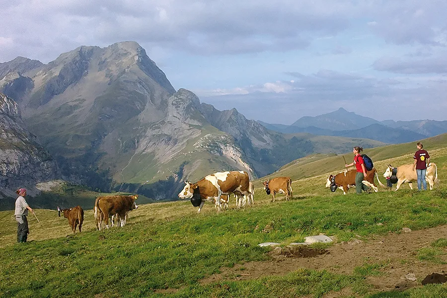 Schweiz. Patenschaft f. Berggemeinden