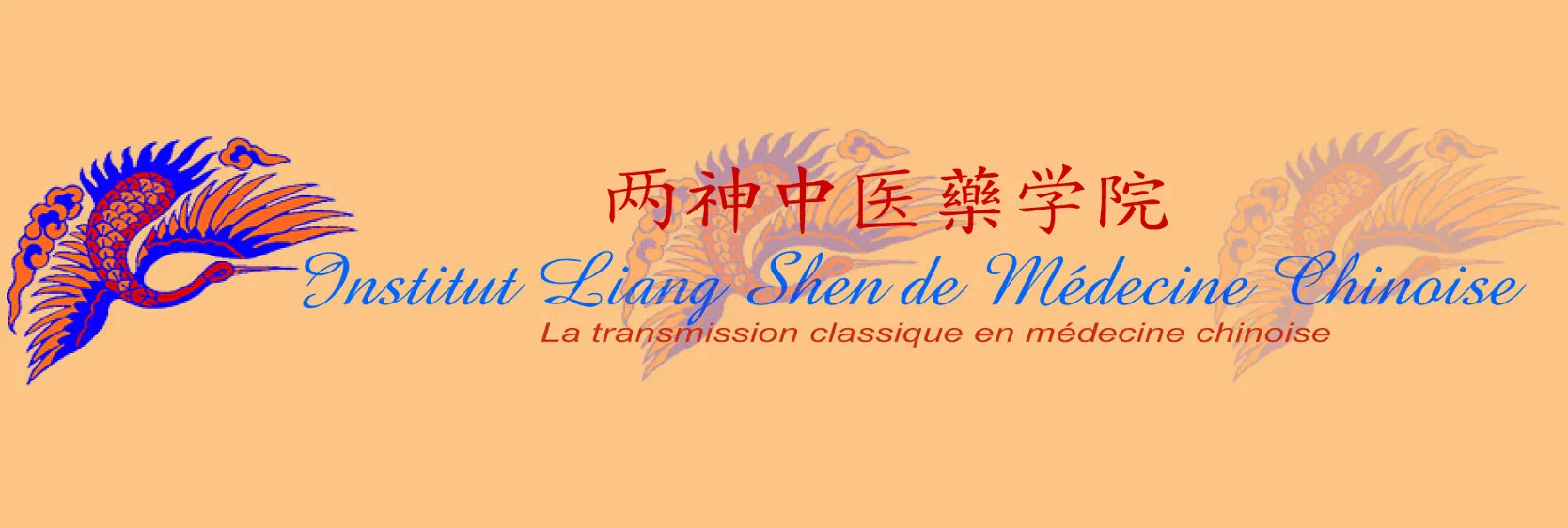 Institut Liang Shen
