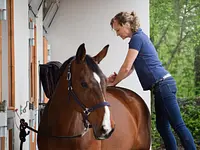 Equine Sports Medicine Services GmbH – click to enlarge the image 24 in a lightbox