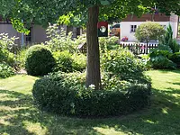 F & B Weibel Gartenbau Radelfingen - Klicken Sie, um das Bild 1 in einer Lightbox vergrössert darzustellen