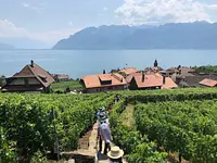 Lavaux Vinorama – click to enlarge the image 3 in a lightbox
