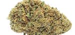 MELON KUSH | CBD – CBDA < 15%