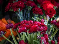 Blumen Iseli - Klicken Sie, um das Bild 11 in einer Lightbox vergrössert darzustellen