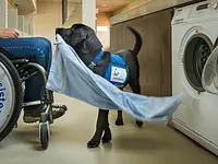 Stiftung Schweizerische Schule für Blindenführhunde - Klicken Sie, um das Bild 2 in einer Lightbox vergrössert darzustellen
