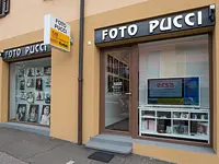 Foto Pucci Sagl – click to enlarge the image 1 in a lightbox