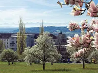 Centre hospitalier Bienne – Cliquez pour agrandir l’image 1 dans une Lightbox