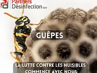 Anti Nuisibles | Partners Desinfection Sàrl - Klicken Sie, um das Bild 8 in einer Lightbox vergrössert darzustellen