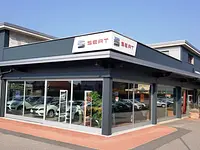 Di Leo Motors SA – click to enlarge the image 3 in a lightbox