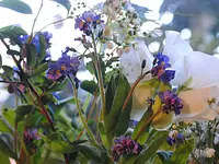 Blumenatelier Bergmann - cliccare per ingrandire l’immagine 2 in una lightbox