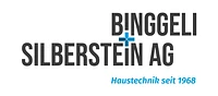 Logo Binggeli und Silberstein AG