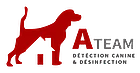 Logo A-Team Désinfection