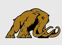 Logo Mammut Umzüge AG