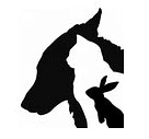 Daves Christine-Logo