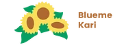 Logo Blueme Kari AG