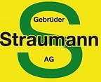 Logo Gebrüder Straumann AG