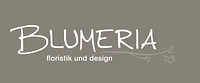 Blumeria logo