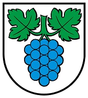 Gemeindeverwaltung in Thalheim AG-Logo