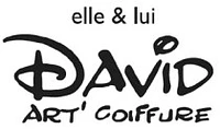 David Art'Coiffure-Logo