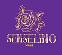 Senselino GmbH