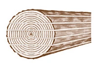 Raschle Holz AG-Logo