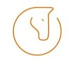 Réseau de soins vétérinaires équins (RéSoVet Equins) SA logo
