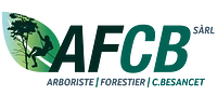 AFCB Sàrl logo