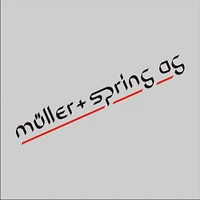 Logo Müller + Spring AG