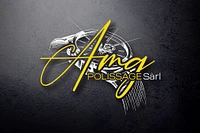 AMG Polissage Sarl logo
