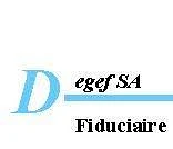 Logo Degef SA