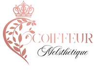 Logo Coiffeur Melsthétique