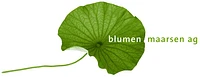 Logo Blumen Maarsen