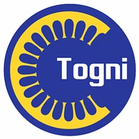 Togni Elettromeccanica SA-Logo