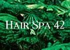 Hairspa 42 logo