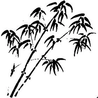Logo Praxis für Chinesische Medizin