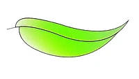 Absolue Beauté-Logo