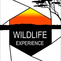 L'Œil Sauvage - Wildlife Experience-Logo