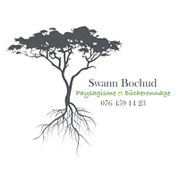 Bochud Swann logo