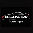 CLEANING CAR DI MILENA SAVIC